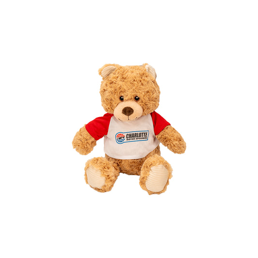 CMS 9" Plush Teddy