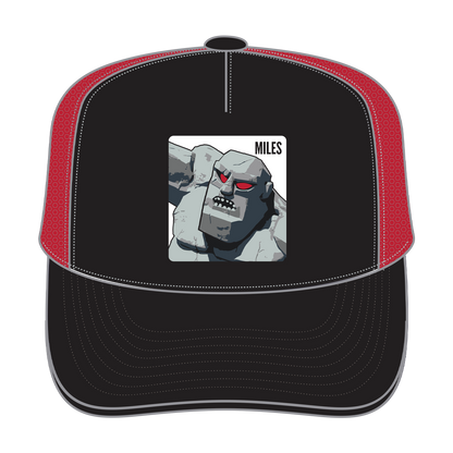 DMS Icon Trucker Hat