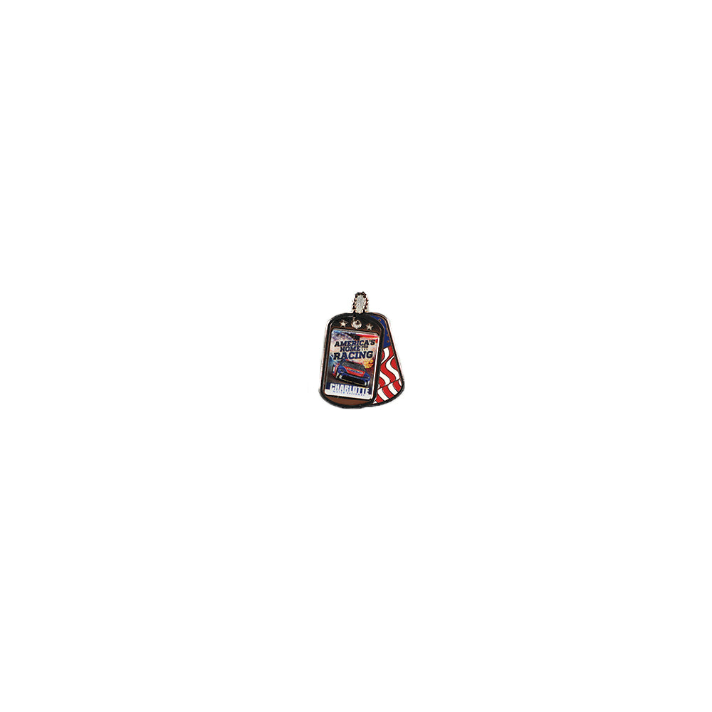 CMS Dog Tags Pin