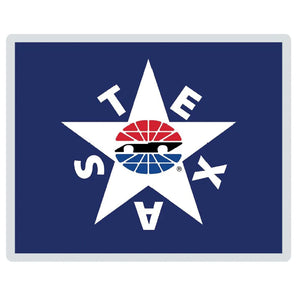 TMS Lone Star Pin