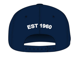 CMS STATE OUTLINE 1960 HAT