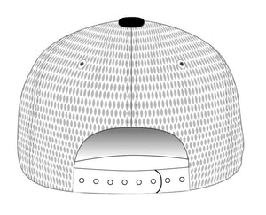 AMS 4 Icon Logo hat
