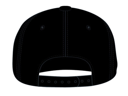 NHMS Checkered Bill Hat